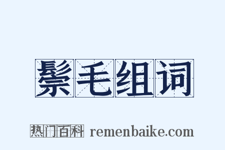 鬃毛组词是什么意思的图片
